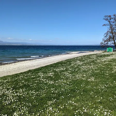 Maison De Charme Au Bord Du Leman Anthy-sur-Leman